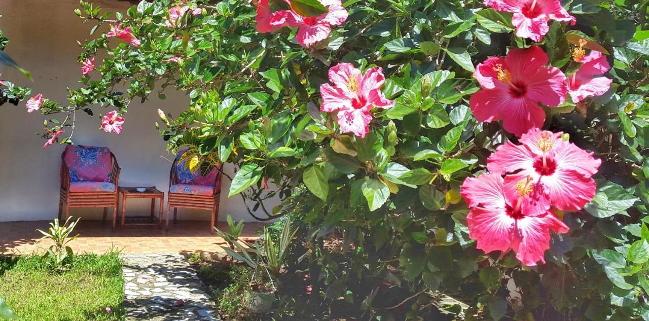 Vida Tropical Bed & Breakfast Alajuela Ngoại thất bức ảnh