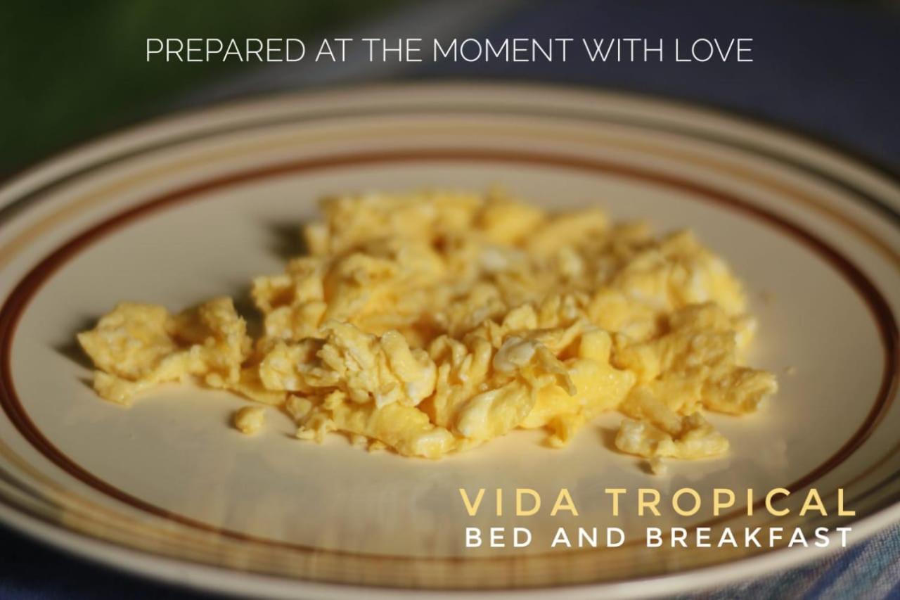 Vida Tropical Bed & Breakfast Alajuela Ngoại thất bức ảnh