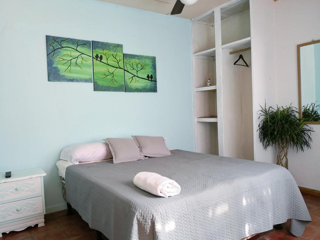 Vida Tropical Bed & Breakfast Alajuela Ngoại thất bức ảnh